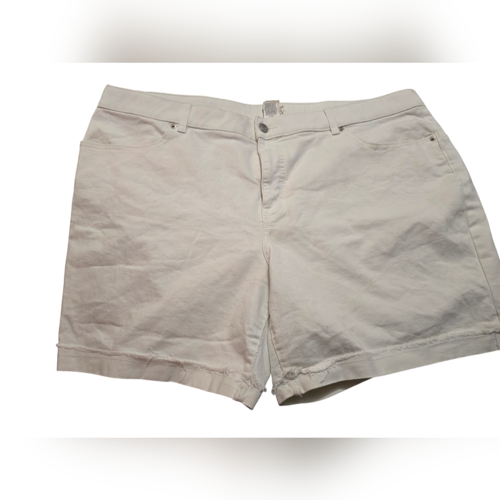 Terra & Sky Women's White Shorts Size 24W